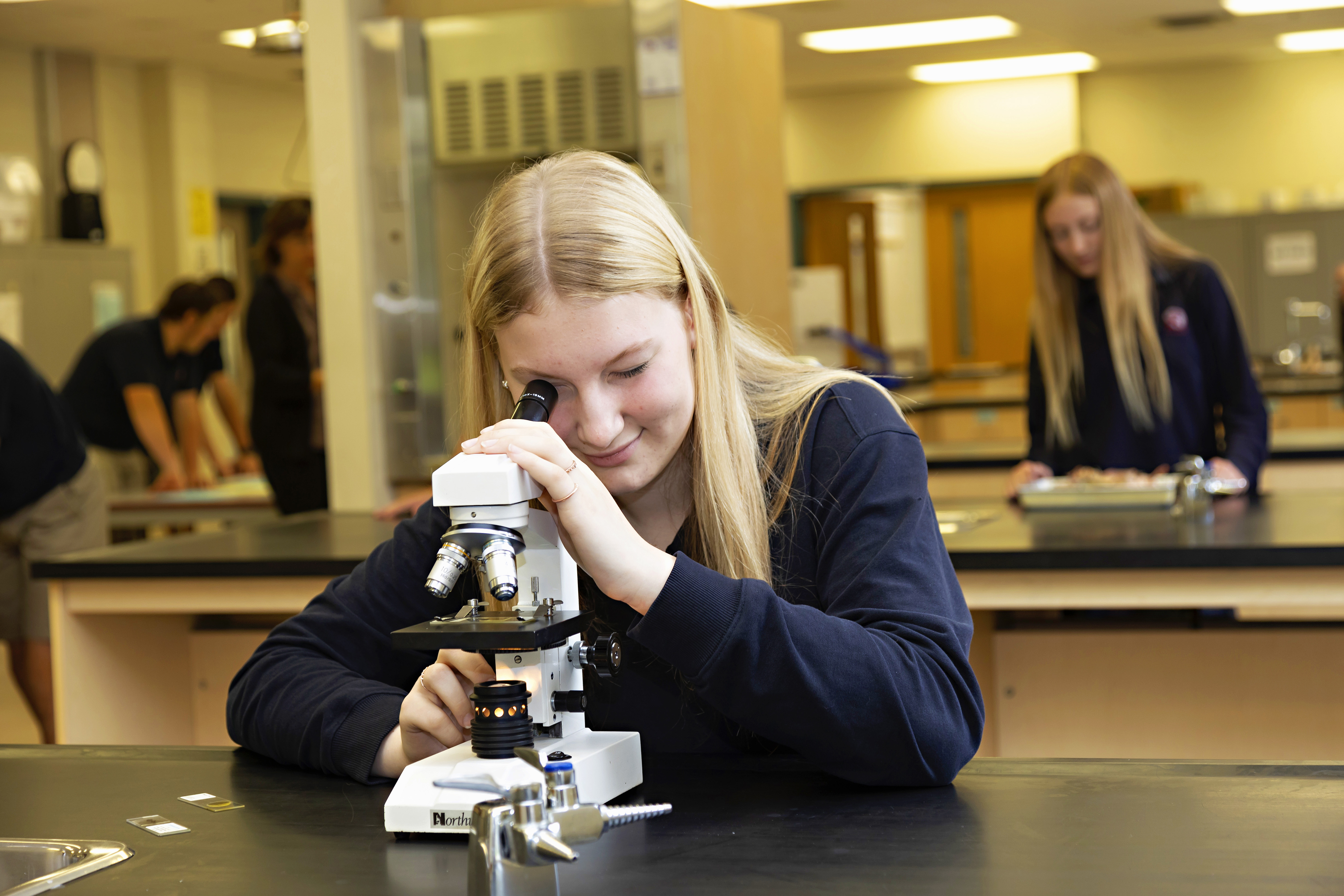 Student using microscope